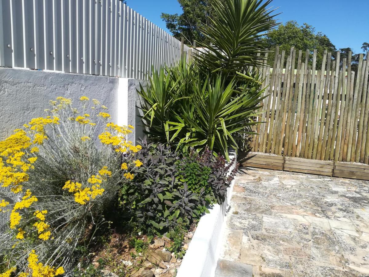 Villa Pro Touristic Montejunto